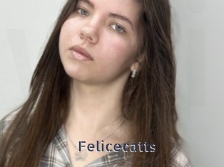 Felicecatts
