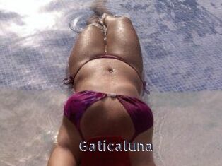 Gaticaluna