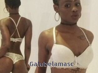 Gatubela_masc