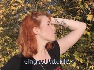 GingerLittleKitty