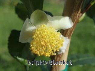 GripMyBlanket