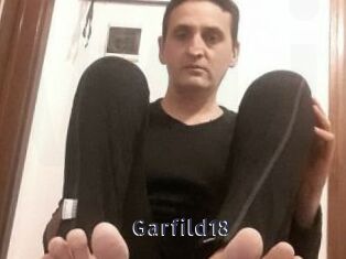 Garfild18