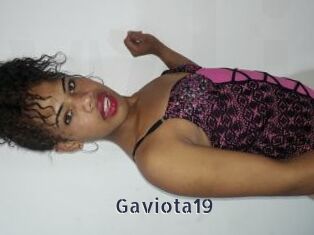 Gaviota19