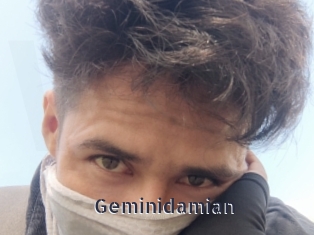 Geminidamian