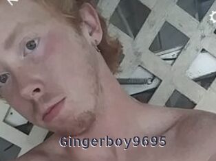 Gingerboy9695