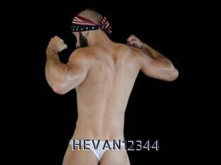 HEVAN12344