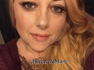 HarlowMae