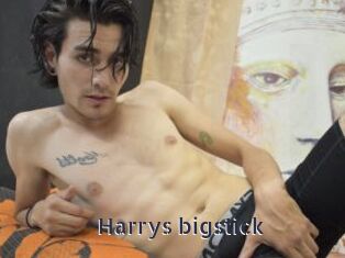 Harrys_bigstick