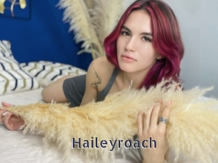 Haileyroach
