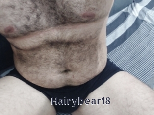 Hairybear18
