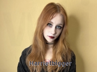 Harrietbigger