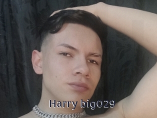 Harry_big029