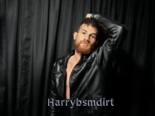 harrybsmdirt webcam livesex