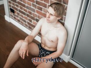 harrydave webcam livesex