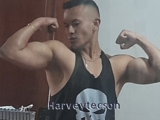 Harveytecson