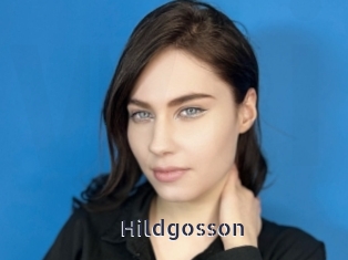 Hildgosson