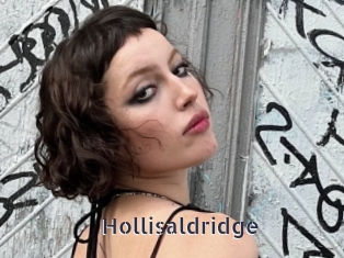 Hollisaldridge
