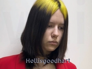 Hollisgoodhart