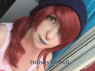 Honeybee66