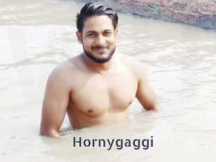 Hornygaggi