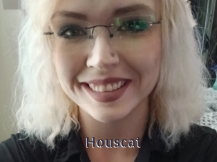 Houscat