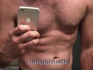 Hungbistud18
