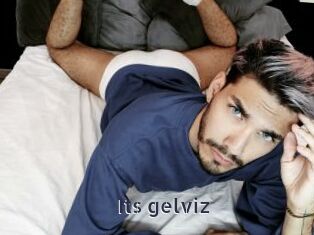 Its_gelviz