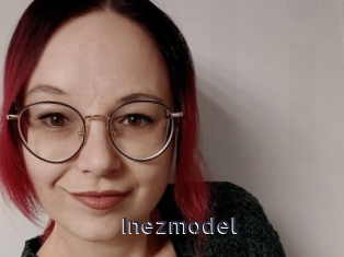 Inezmodel