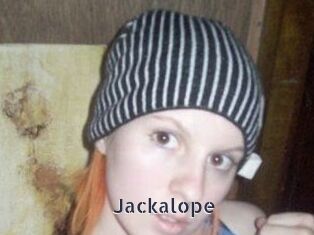 Jackalope
