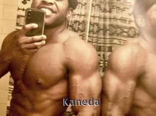 kaneda webcam livesex