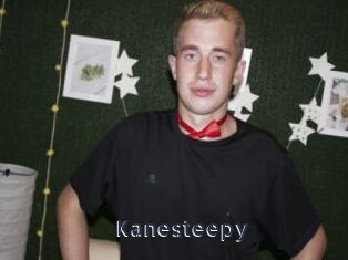 Kanesteepy