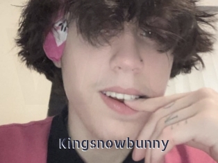 Kingsnowbunny