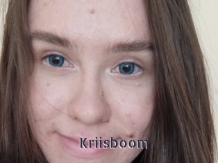 Kriisboom