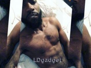 LDgadget