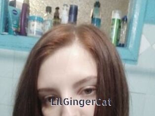 LilGingerCat