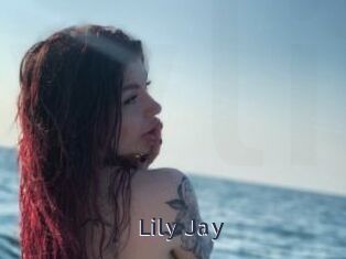 Lily_Jay