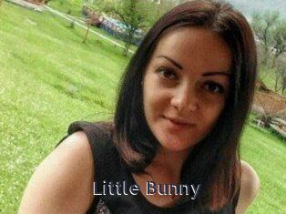 Little_Bunny_