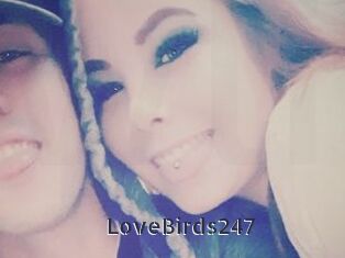 LoveBirds247