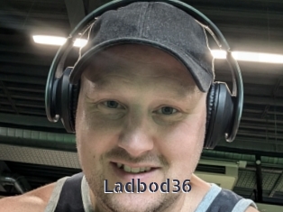 ladbod36 webcam livesex
