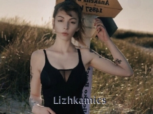 Lizhkamics