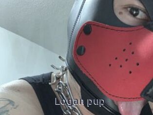 Logan_pup