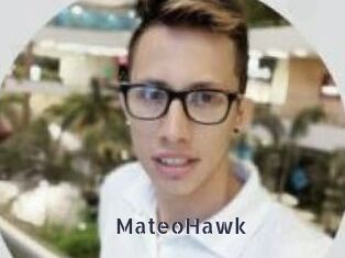 MateoHawk