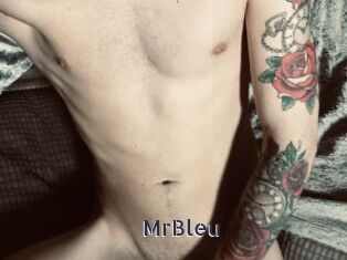 MrBleu