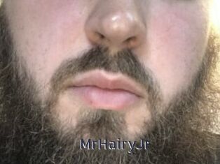 MrHairyJr