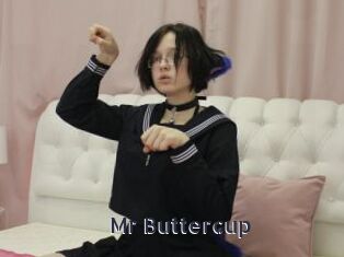 Mr_Buttercup