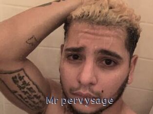 Mr_pervysage webcam livesex