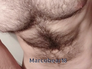 Marcobear18