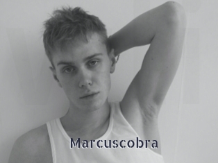 Marcuscobra