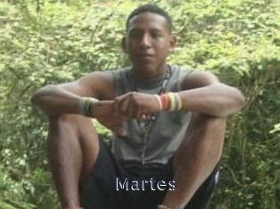 Martes