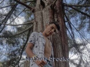 Mathew_brooks